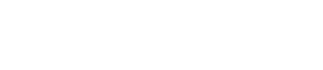 LEVITOTO logo